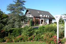 Appartment Wohnzimmer